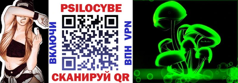 Галлюциногенные грибы Psilocybe Мариинск